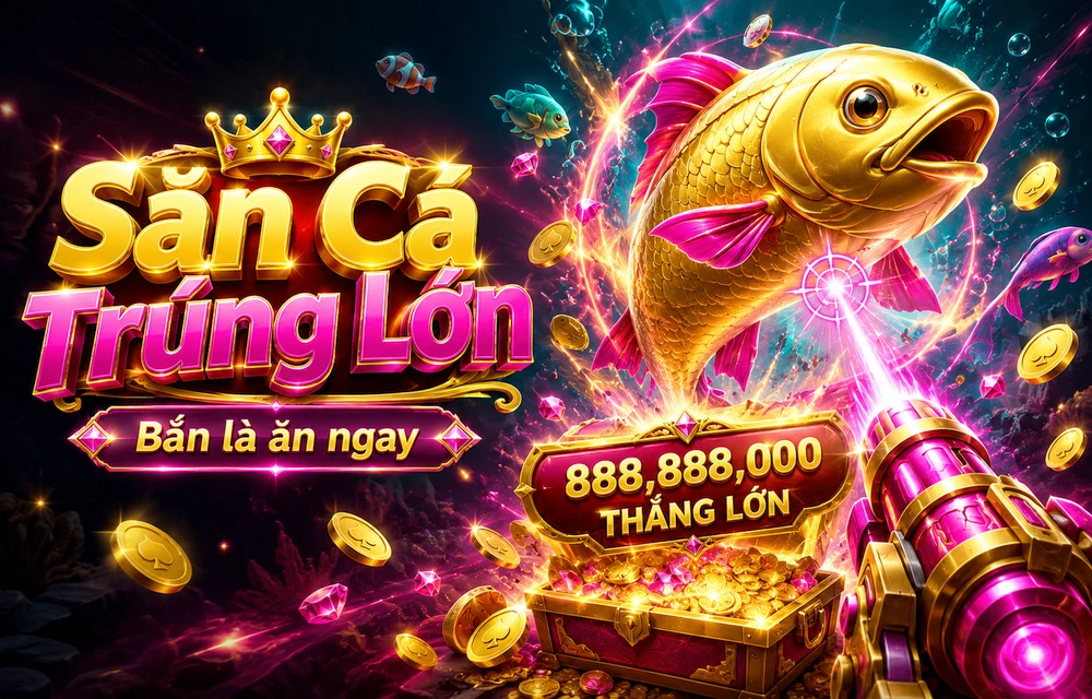 Hỏi đáp thực tế về Hỏi đáp dành cho người mới